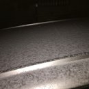 조경기능사 이미지