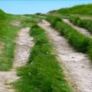 들길 따라서 이미지