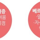 베르니케 이미지