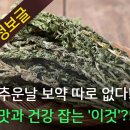 무청시래기 / 추운 날씨 보약 따로 없다! 맛과 건강 잡는 ′이것′?! 이미지