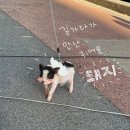 온더빅