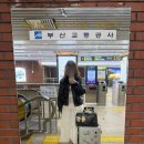 래디언트 남포 | 부산 남포동 숙소추천 l 래디언트남포 호텔 레지던스 애견동반 가능한 호텔