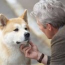 하치이야기 이미지