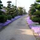 왕궁농장 이미지