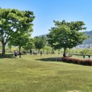 부산 파크골프장 5. 7 개장 이미지