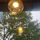 데이러블 이미지