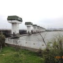 아지매제첩국 이미지