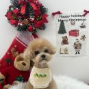 우리집강아지 애견미용 이미지