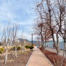 아라길(가야시장) 이미지