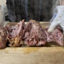 소나무집 이미지