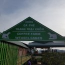 국제2농장 이미지