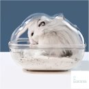 햄스터살롱 이미지