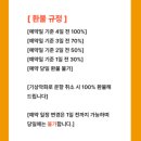 부산리얼투어