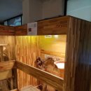 애니멀샵 이미지