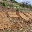 신흥농약사 이미지