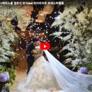 3796 | W4. 대전본식DVD 추천 포레스트 필름 내돈내산 계약 후기