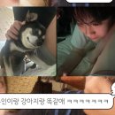 복*서 이미지