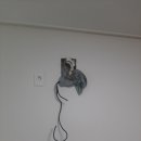 삼성마을3단지(시티프라디움) 이미지