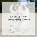 만성 통증 이미지