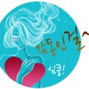 뷰티노리터
