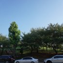 큰정곡경로당 이미지