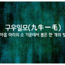 구우일모ㅣ九牛一毛 이미지