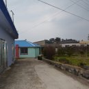돌담컴퍼니
