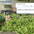 초당유통