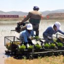 서흥농장 이미지