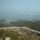 협신주