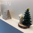 스테이 유심 이미지