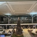 붐비네 | 18탄 / 일년만에 한국으로 또 휴가가용 / 젯스타 비즈니스 후기 / 뮤지컬 킹키부츠 관람 / 성심당 딸기설기