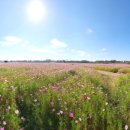 산들마을경로당 이미지