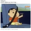 꿈틀작은도서관 | 할 일 없는 백수의 일상 (feat. 대충살자)