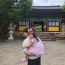 신흥사 대광전 | 양산 원동 드라이브 전망대 카페 아덴 &amp; 고즈넉한 절 신흥사