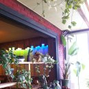 풀섶가정식백반 이미지