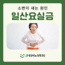 연세참비뇨의학과의원 | 일산요실금 외출을 힘들게 만드는 질환 [일산연세참비뇨의학과의원]