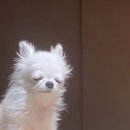 해설이 있는 음악회 ''영국의 봄'' | [나홀로유럽에 | 영국 런던 D+2] 런던 카페 추천, 스투시 런던, 어니스트 버거, 내셔널 갤러리, 런던...