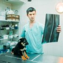 선 동물병원 이미지