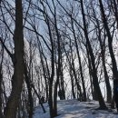 슬치주유소 이미지