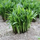 광(光)농장 이미지