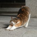 요가;숨쉬다 네이버블로그