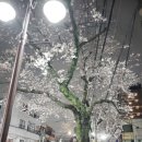 시나브로 이미지