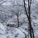 대전둘레산길 5구간 길치공원~봉황정 이미지