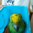 크라운농장 이미지