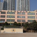 대도초등학교 이미지