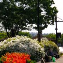 정발산역 이미지