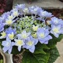 시각장애인주간보호센터 이미지