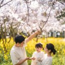 스테이그라피 이미지