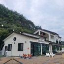 똥개애견카페 이미지